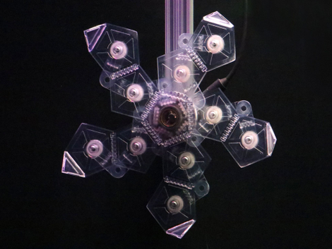 RAD in its fully extended configuration.